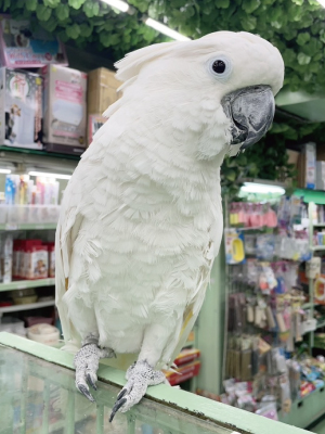 たいちゃん