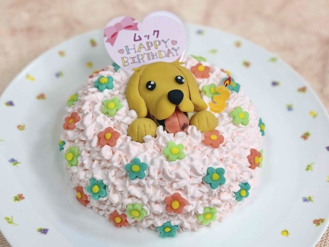 ZOOオーダーメイドケーキ
