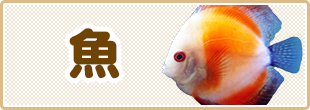 魚