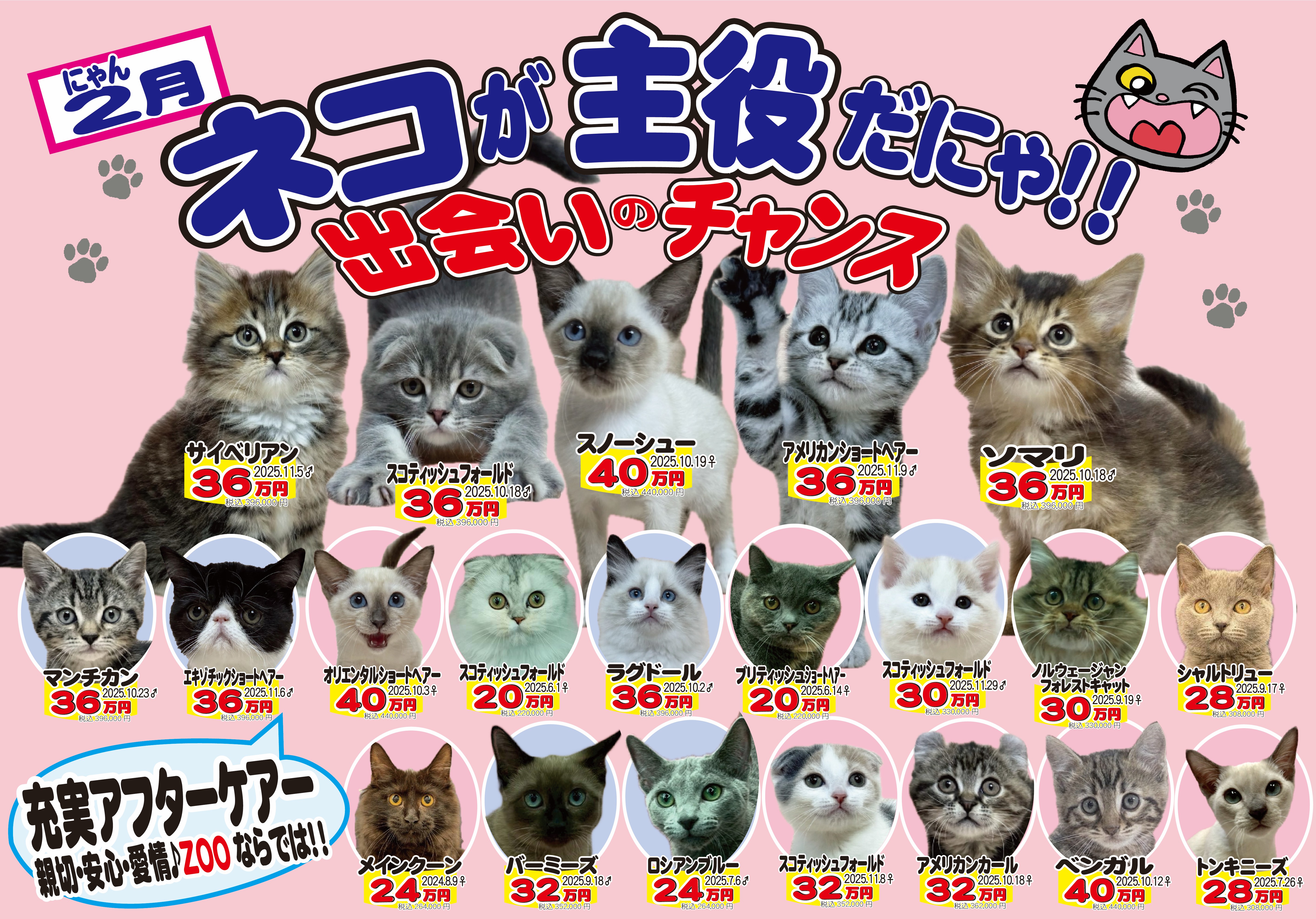 ペットのことならZOO