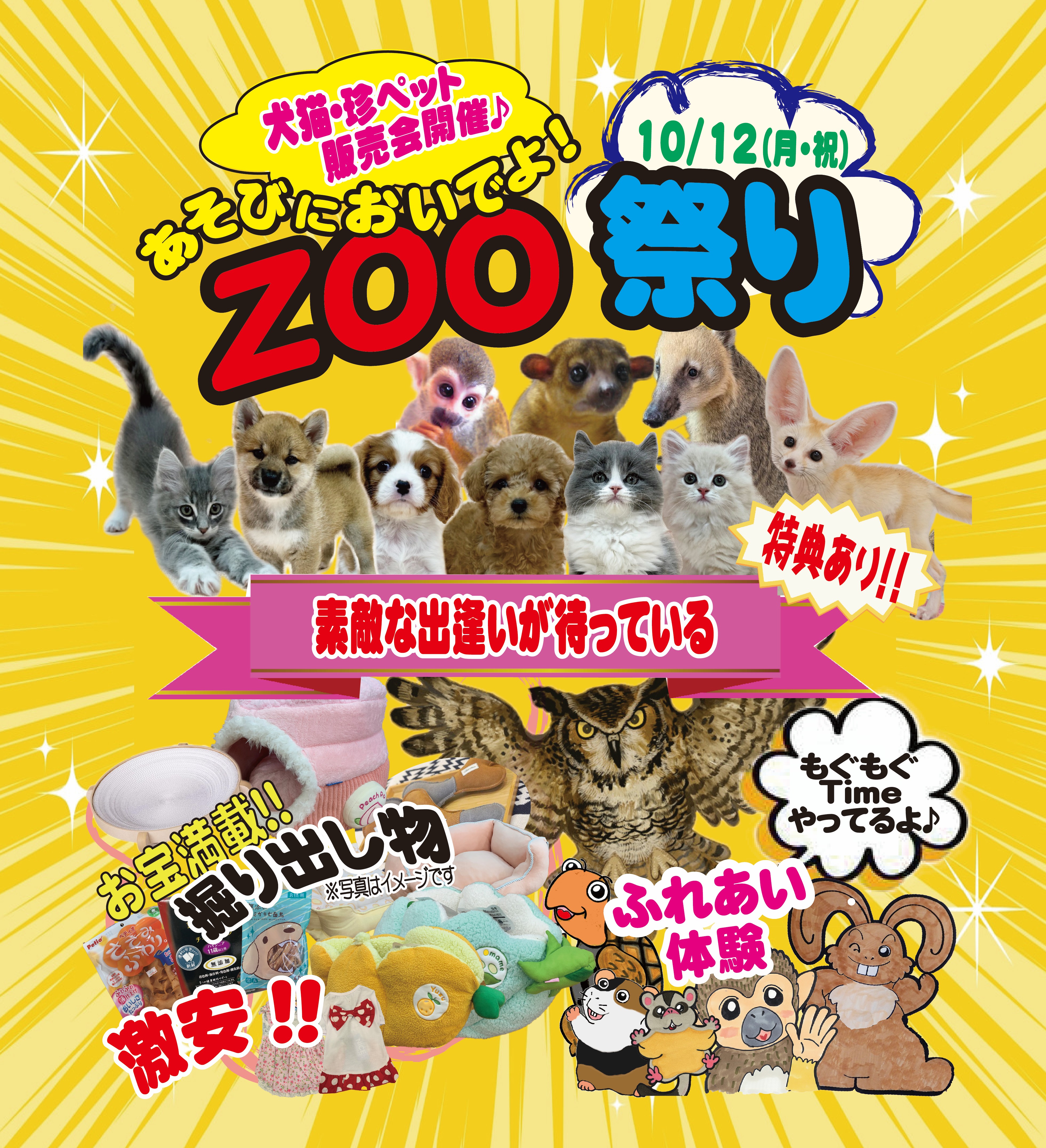 ペットのことならZOO