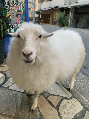 エール