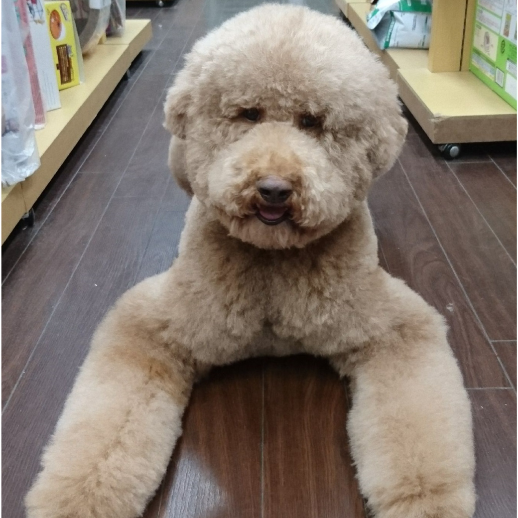 プー