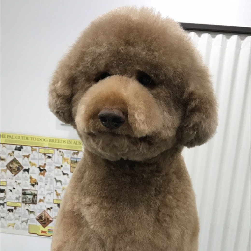 プー