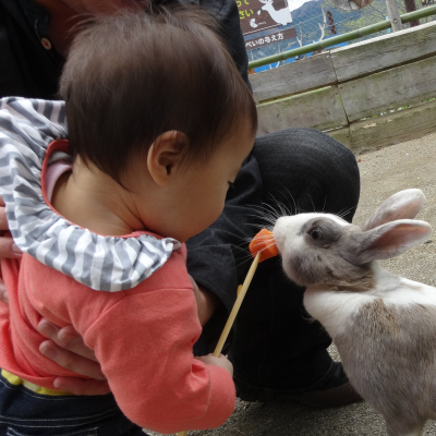 幼稚園・保育園などにおけるふれあい動物園