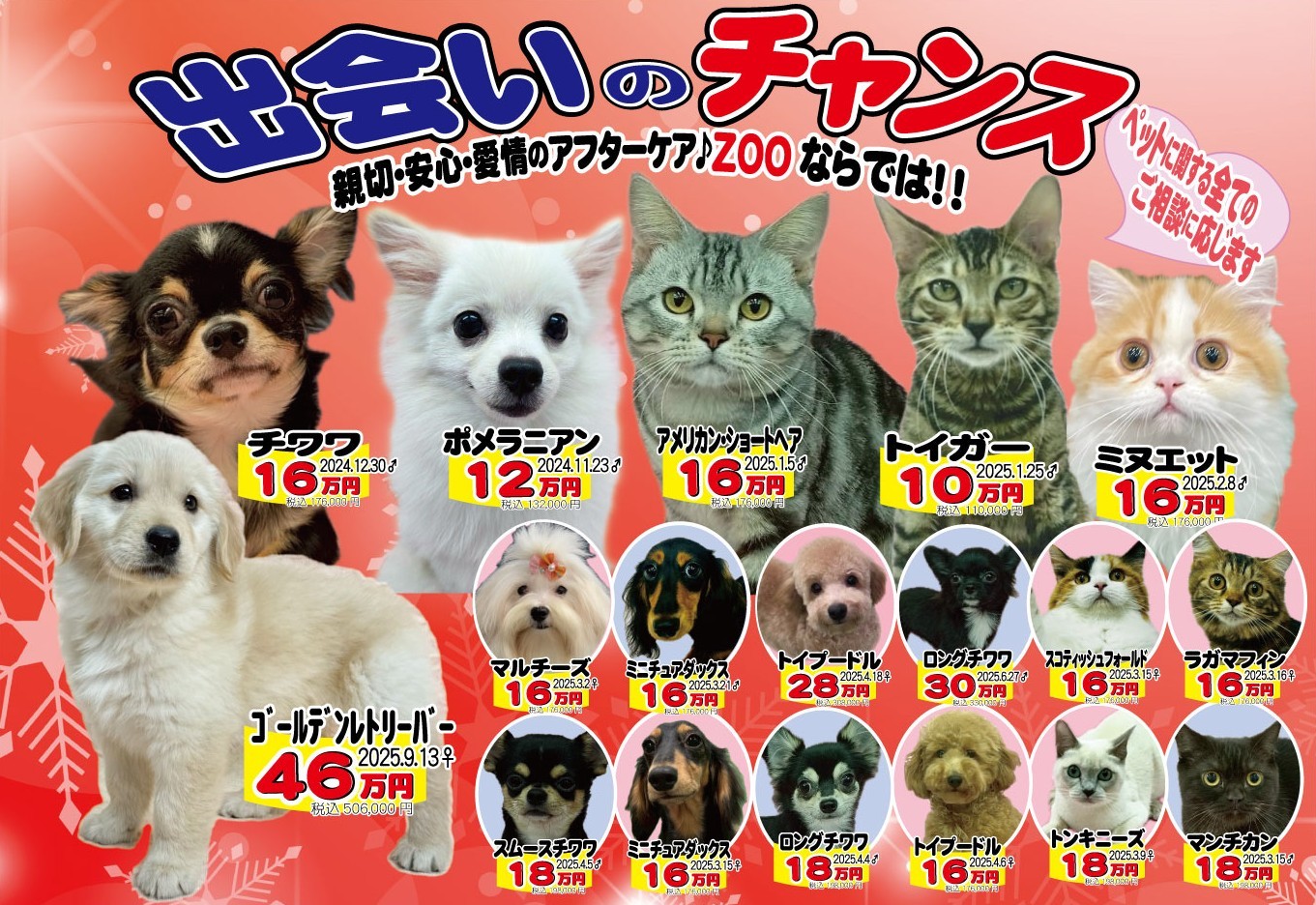 ペットのことならZOO