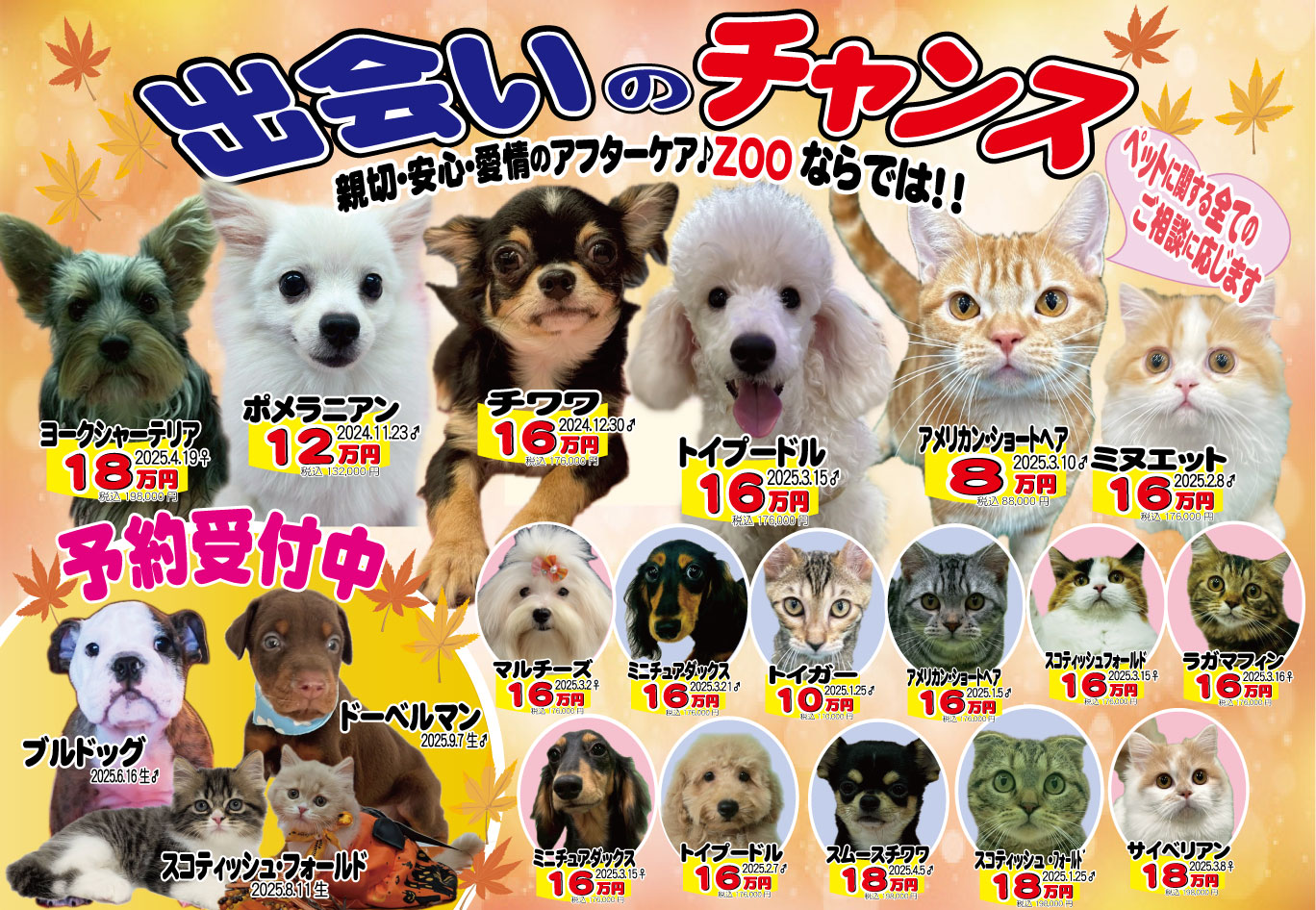 ペットのことならZOO