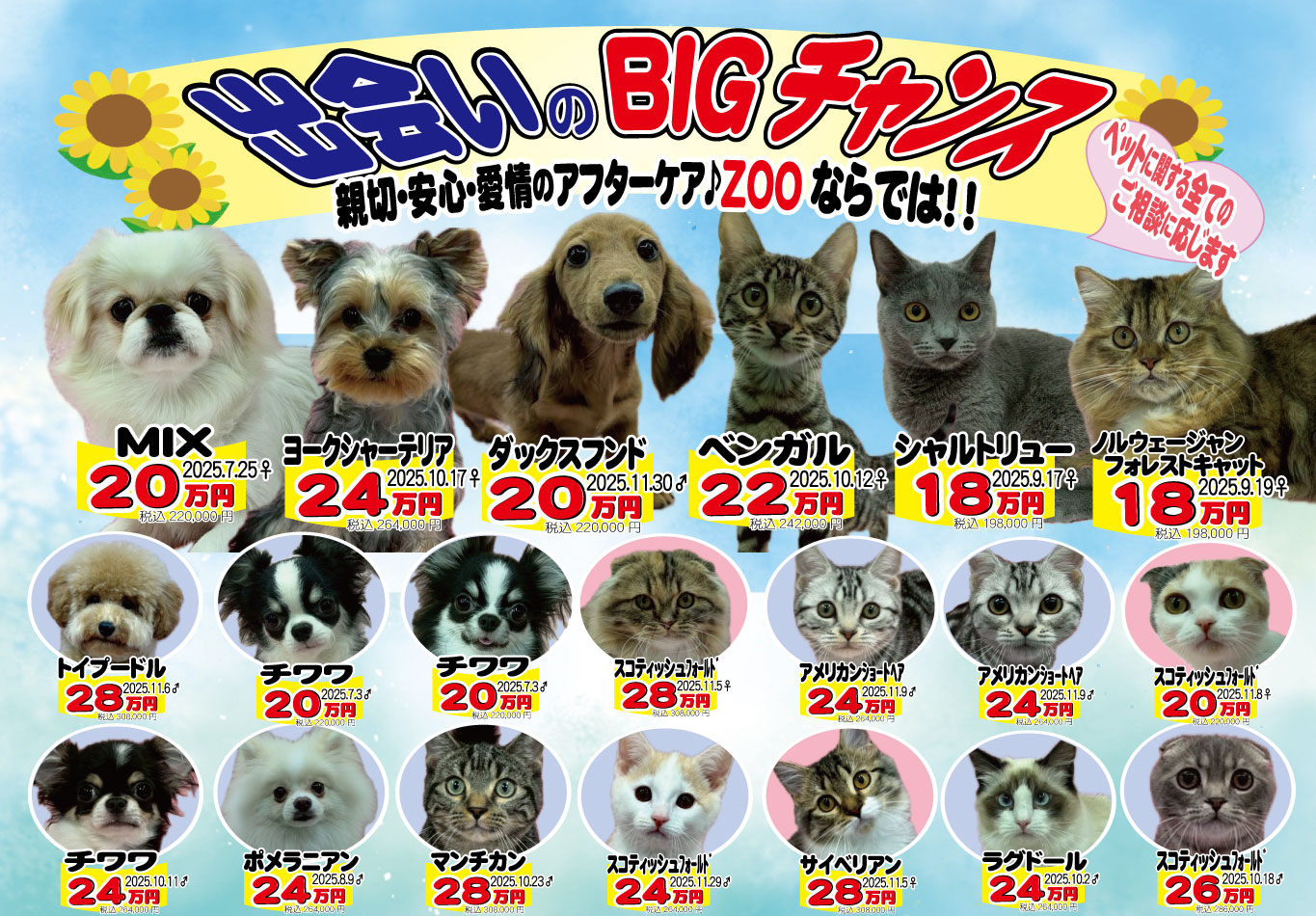 ペットのことならZOO