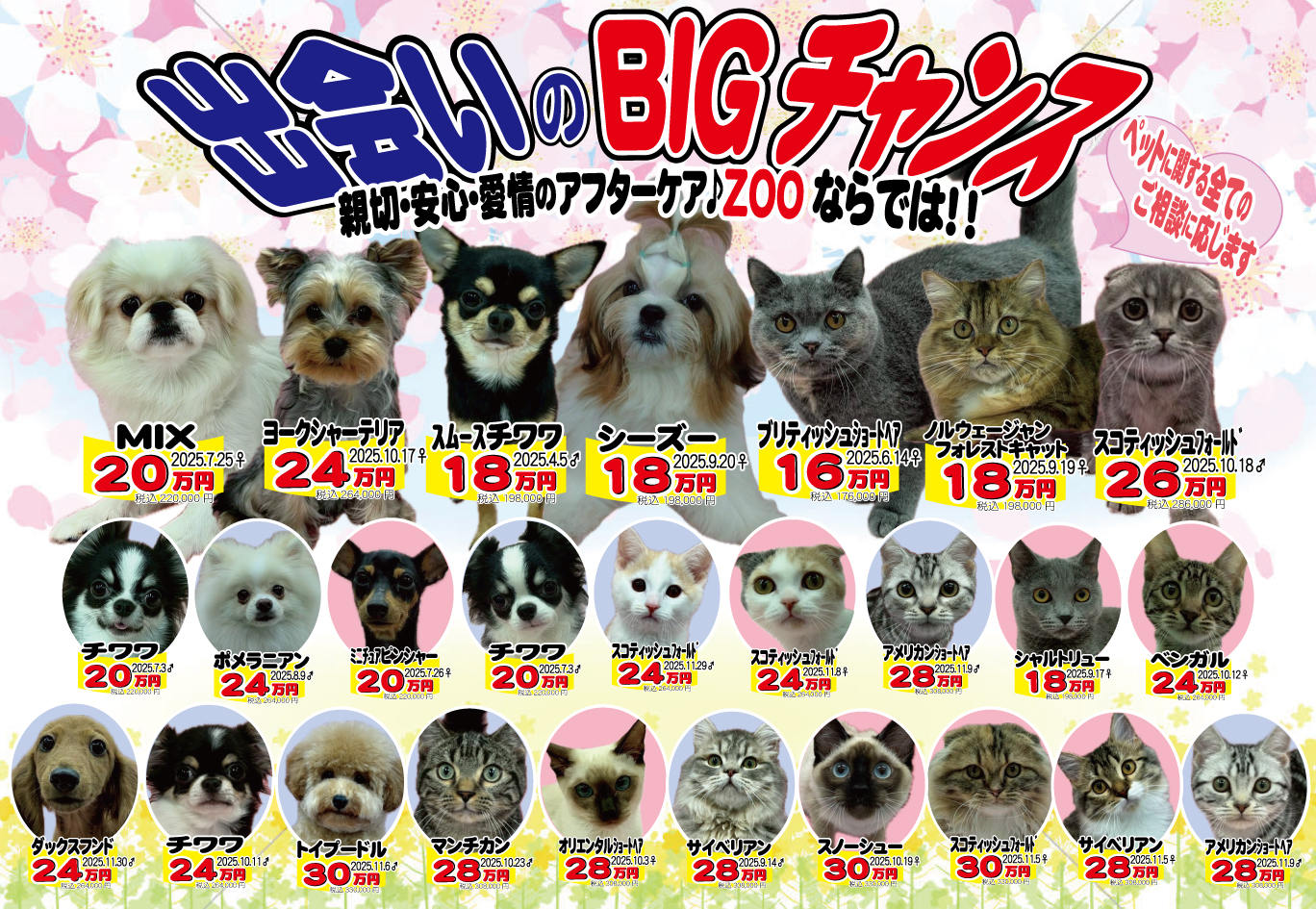 ペットのことならZOO