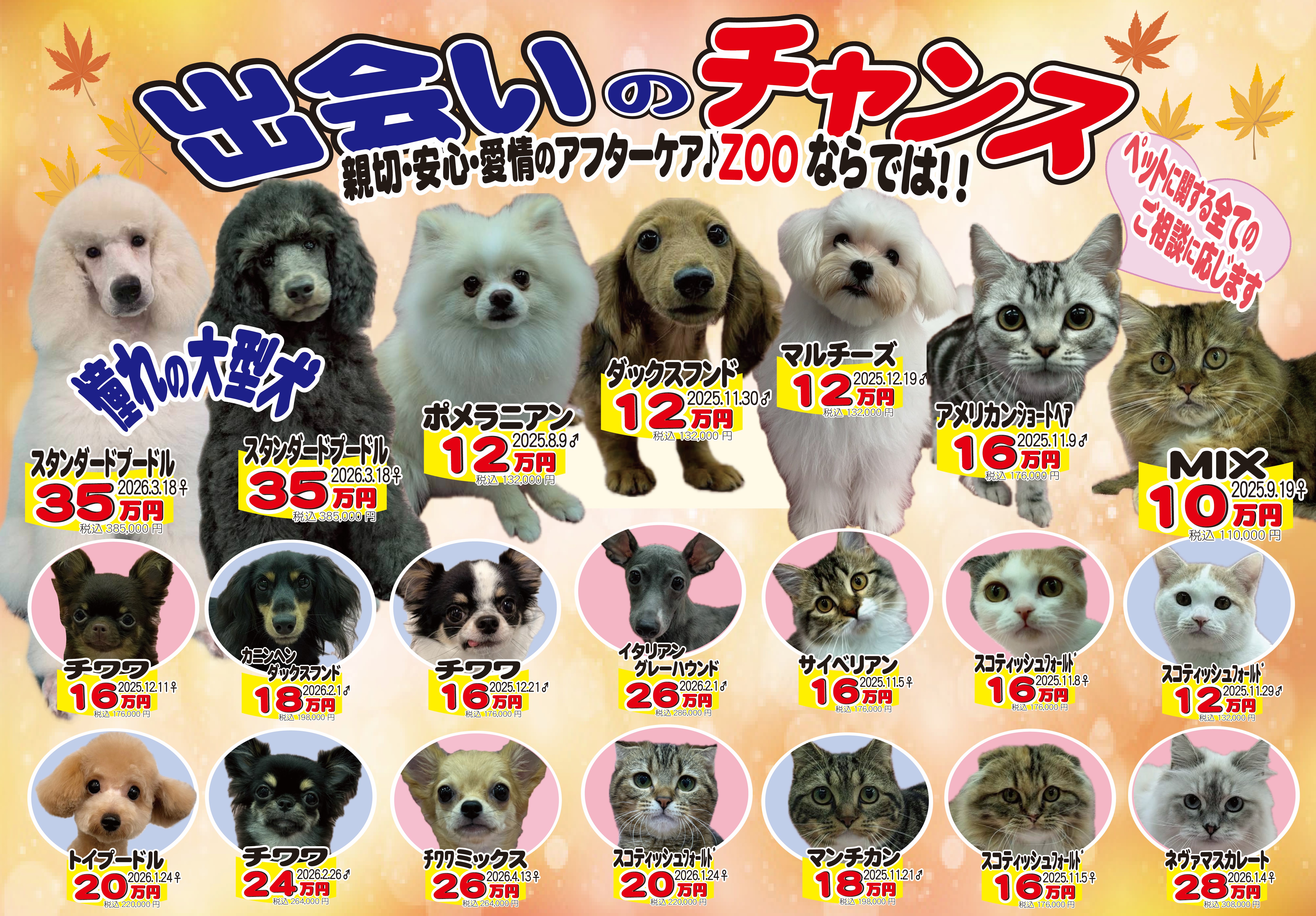 ペットのことならZOO
