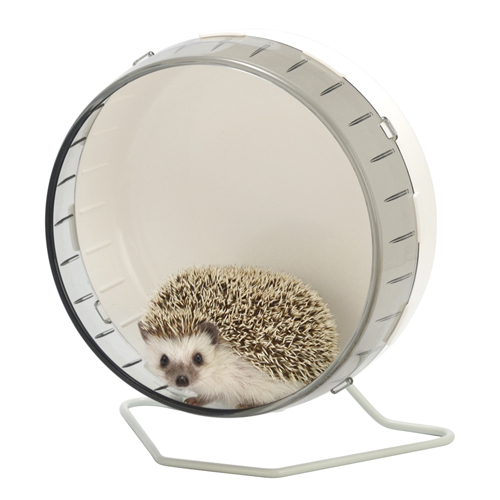 小動物 - ペットのことならZOO オールペット界をリードする最高