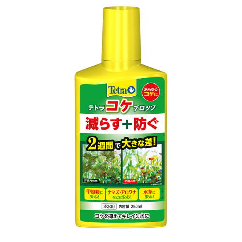 5316070 テトラ　コケブロック　250ml
